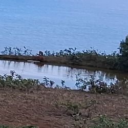 Waipi'o On Horseback