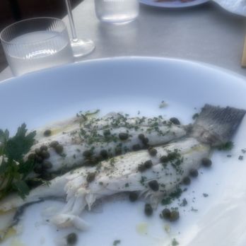 Atik Restaurant - Branzino was so tasty - Mediterranean Near Me - The Bronx, New York