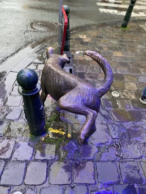 Zinneke Pis by null