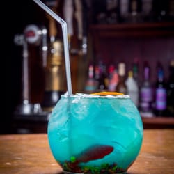 The Stief - The Stief Fish Bowl.