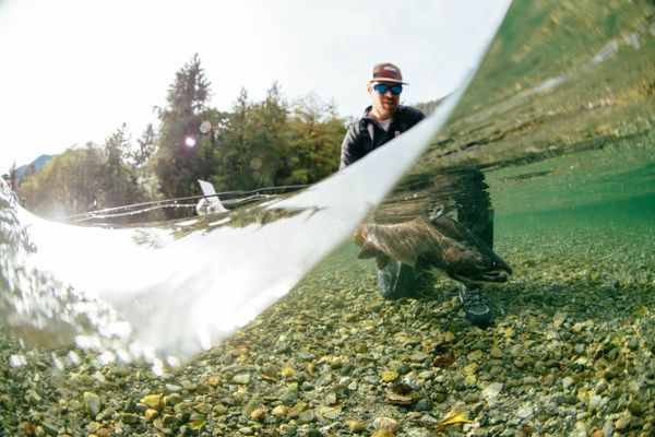 Tofino Resort + Marina by null