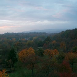 Köpperner Wald - Laufen - Qype Photo Challenge