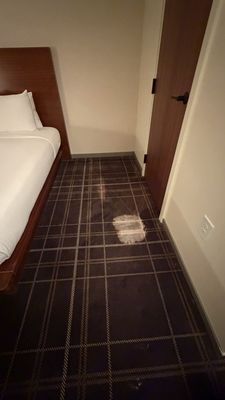 FOUND Hotel, Santa Monica by null