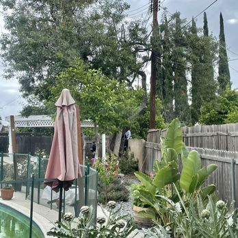 Green Leaf Zone - Tree Services Near Me - Sherman Oaks, California