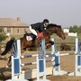 Jem Stables