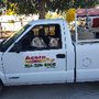 Photo of Acorn Pest Control