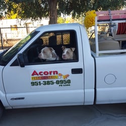 Acorn Pest Control - Acorn is diffently Pet friendly!