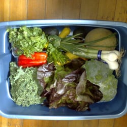 New Roots Organics