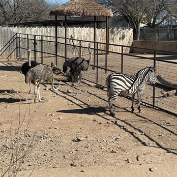 Abilene Zoo - Zoos Near Me - Abilene, Texas