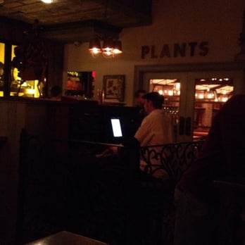 The Botanist - Pianist with iPad! - Cocktail Bars Near Me - Manchester, XGM