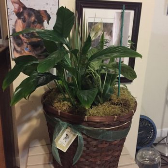 The Botaniste - Florists Near Me - Easthampton, Massachusetts