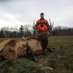 Tioga Boar Hunting