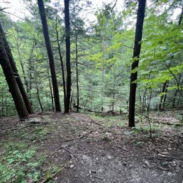 Hiking around one of the trails Hiking around one of the trails