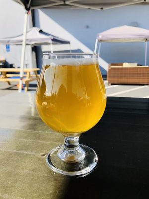 Tarantula Hill Brewing Co. by null