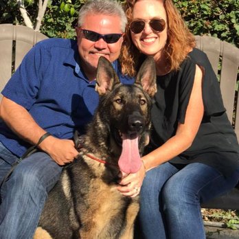 Coastal German Shepherd Rescue - Love at first sight! - Animal Shelters Near Me - Lake Forest, California Coastal German Shepherd Rescue - Love at first sight! - Animal Shelters Near Me - Lake Forest, California