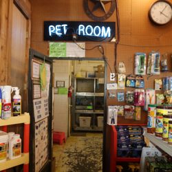 Russell Feed & Supply - Our pet room is home to a host of wonderful animals and they LOVE visitors!