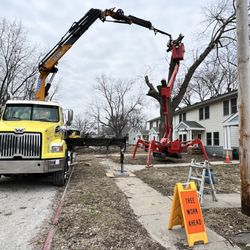 Oak Bros Tree Care & Removal