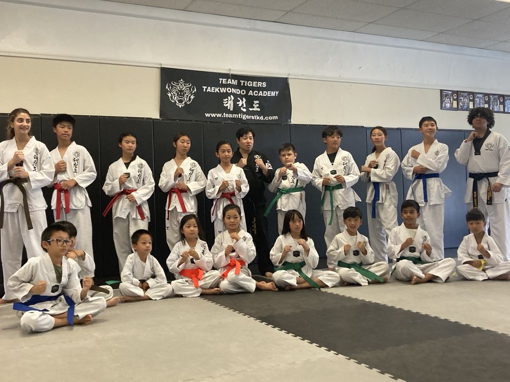 Team Tigers Taekwondo Academy Logo