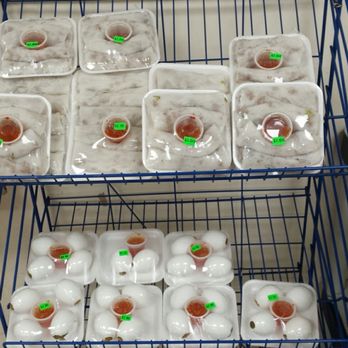 Hmong Legacy Market - Delis Near Me - Madison, Wisconsin