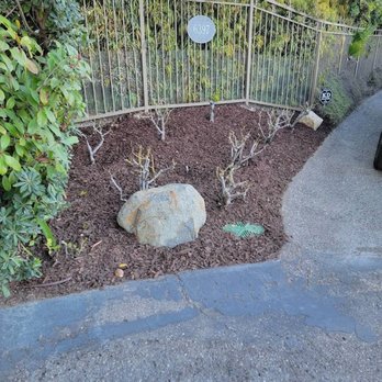 Ramirez Landscaping - a rock in a garden - Gardeners Near Me Ramirez Landscaping - a rock in a garden - Gardeners Near Me