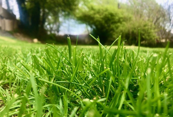 Mowing - Ruiz Landscaping offers a full range of landscape and lawn maintenance services, you are sure to get the exact services your yard needs Mowing - Ruiz Landscaping offers a full range of landscape and lawn maintenance services, you are sure to get the exact services your yard needs