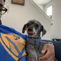 Bark n Bubblez - After pics