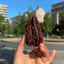 Nino's Bakery - Hazelnut Kiss