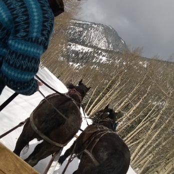 Pine Creek Cookhouse - Our ride back from the restaurant - New American Near Me - Aspen, Colorado