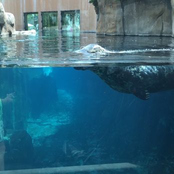 The Toledo Zoo - Zoos Near Me - Toledo, Ohio