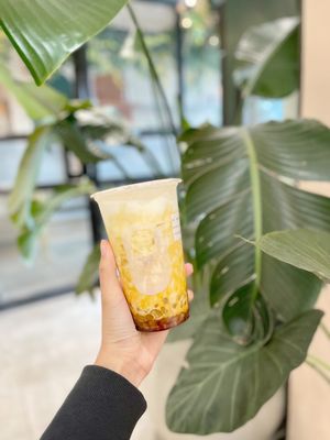 Machi Machi - Northyork by null