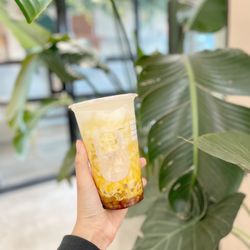 Machi Machi - Homemade Brown Sugar Milk Tea w/ Taroballs ($7.57)