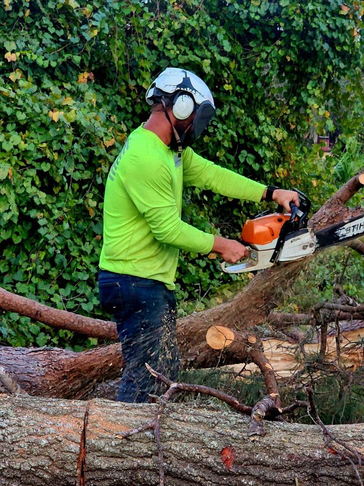 Trees for the Fallen - tree service in Osteen, FL