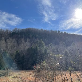 Fall Branch Falls - Hiking Near Me - Cherry Log, Georgia