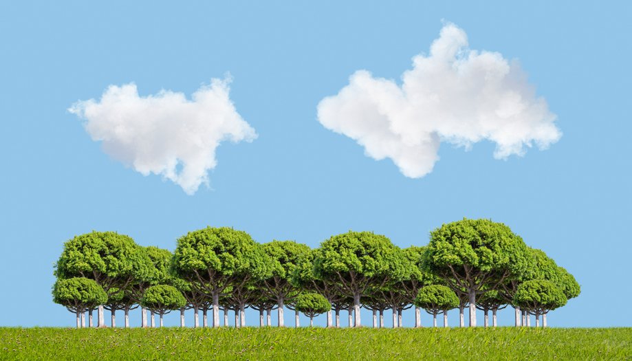 SUE WOODS WOODS TEAM REALTORS COMPASS Updated April 2024 1000