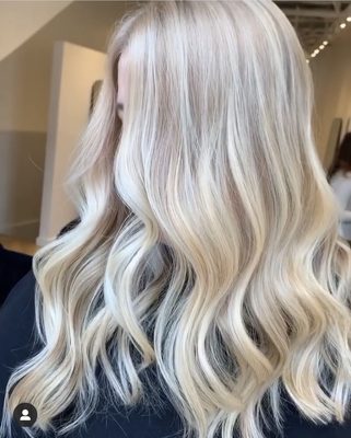 The Blonde Co by null