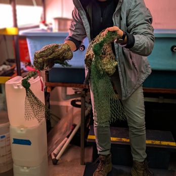 Holdfast Acquaculture - Co-founders Diane - Seafood Markets Near Me - San Pedro, California Holdfast Acquaculture - Co-founders Diane - Seafood Markets Near Me - San Pedro, California