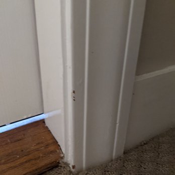 Empire Today - Carpet Installation Near Me