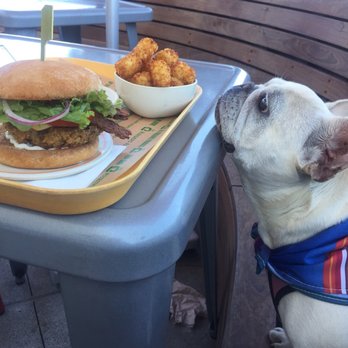 Next Level Burger - Burgers Near Me - Concord, California Next Level Burger - Burgers Near Me - Concord, California