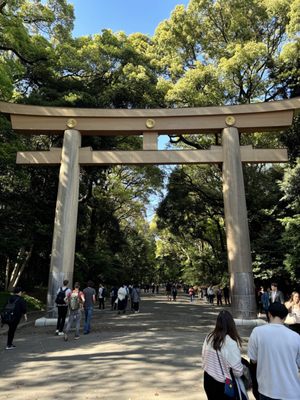 Meiji Jingu by null