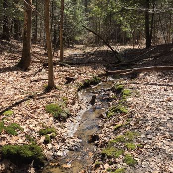 Lisha Kill Natural Area - Hiking Near Me - Niskayuna, New York