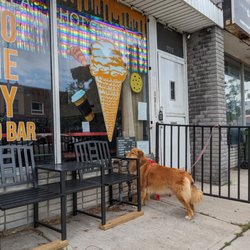 Gelato On The Danny - Dog is waiting for the parents
