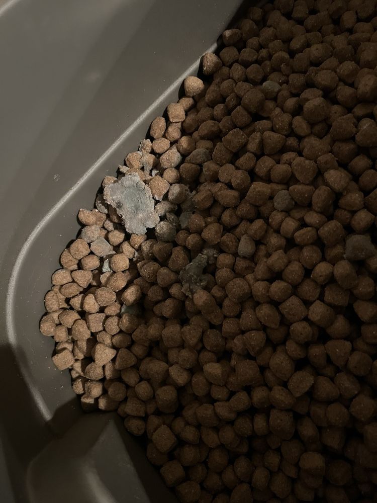 TRACTOR SUPPLY Updated October 2024 47 Photos & 40 Reviews 12543