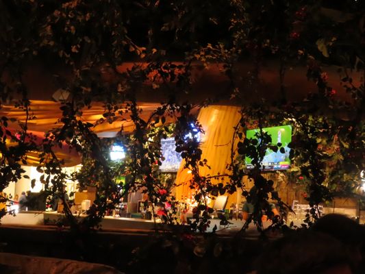 Rainforest Cafe by null