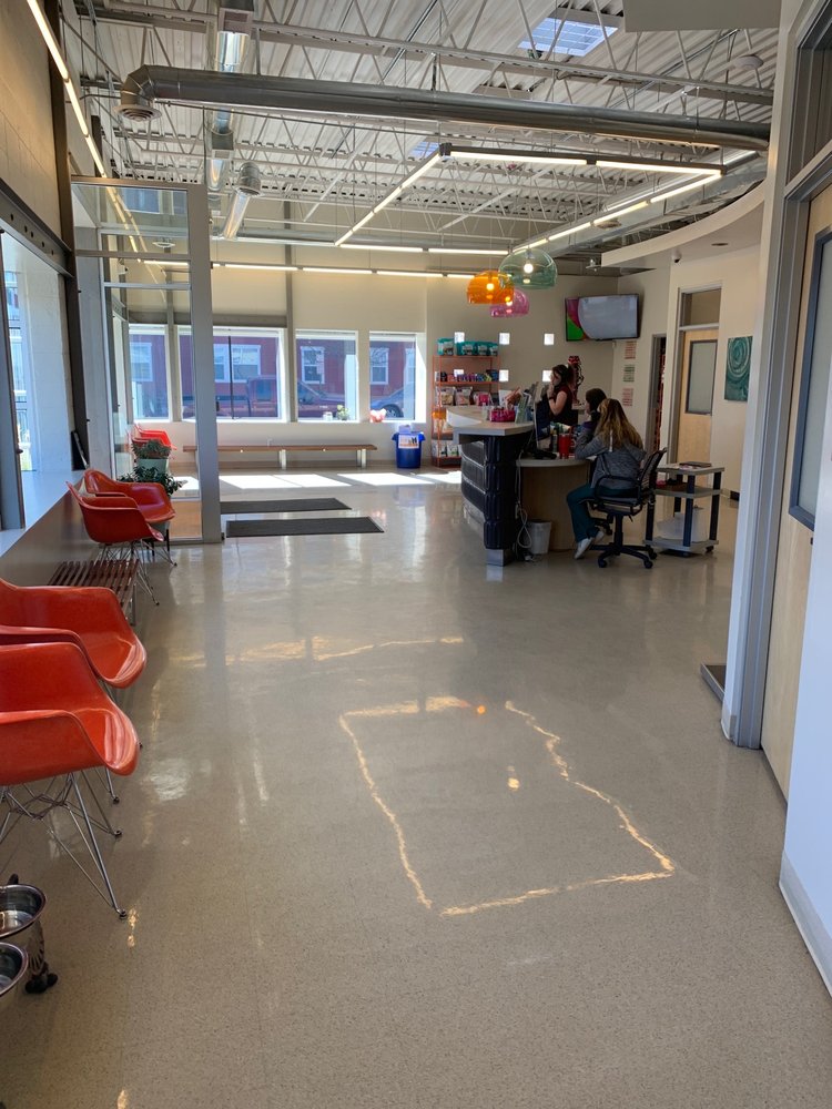 URBAN VET CARE 37 Photos &amp; 146 Reviews Veterinarians