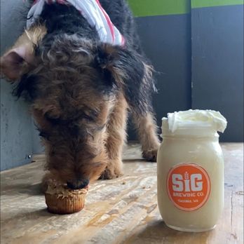Wet Noses Dry Paws - Holiday Parties & Snacks ($2 extra)! - Dog Parks Near Me - Tacoma, Washington Wet Noses Dry Paws - Holiday Parties & Snacks ($2 extra)! - Dog Parks Near Me - Tacoma, Washington