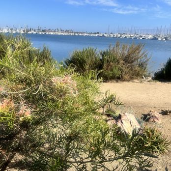 Bessemer Beach - Beach - Beaches Near Me - San Diego, California