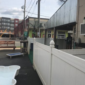 The Dog Bar - Bars Near Me - Charlotte, North Carolina The Dog Bar - Bars Near Me - Charlotte, North Carolina