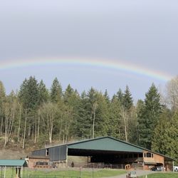 Lang's Horse & Pony Farm - Indoor Riding arena at Lang's.