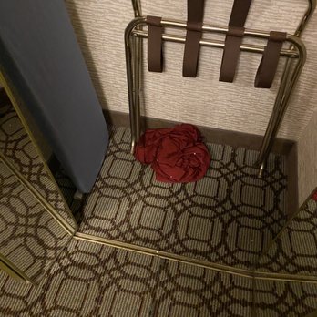 Courtyard By Marriott Savannah Downtown Historic District 71 Photos 107 Reviews Hotels 415 W Liberty St Savannah Ga Phone Number