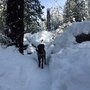 Photo of Willamette National Forest